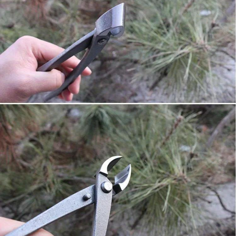 Bonsai Knob Cutter Concave Edg - Bonsai Tool Set recension och pris