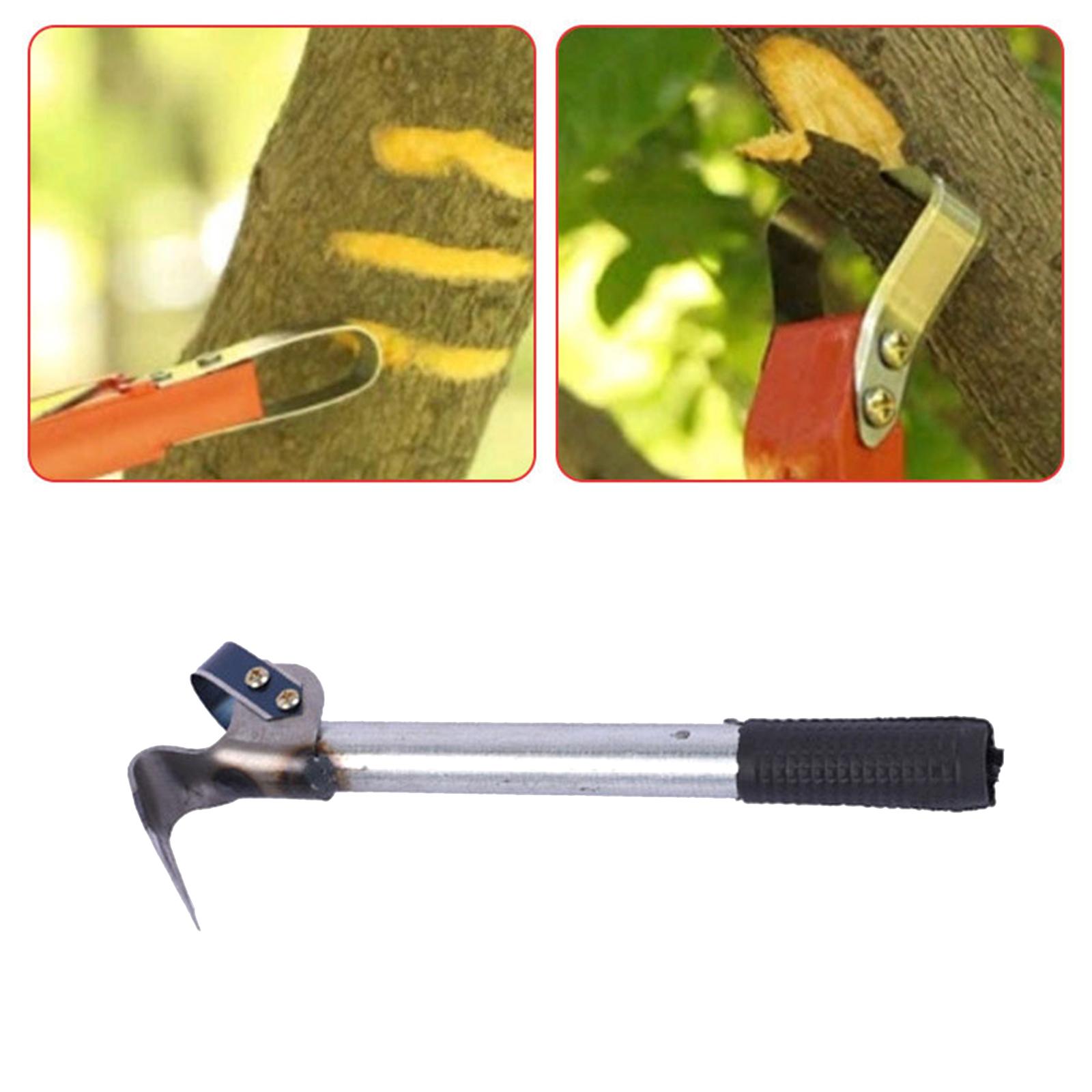 Barks Removal Tool Barks Compa - Gardening Tools Drawing recension och pris