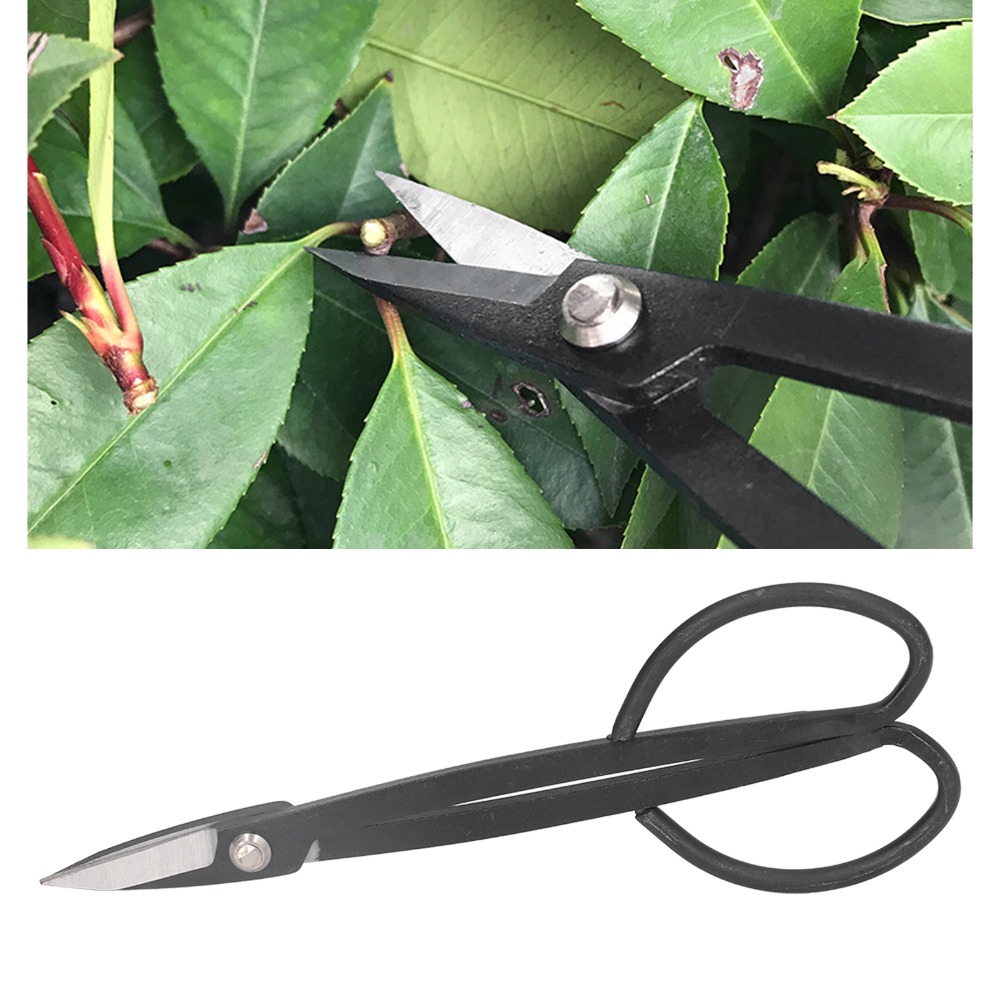 Stainless Steel Bonsai Scissor - Bonsai Tool Set recension och pris