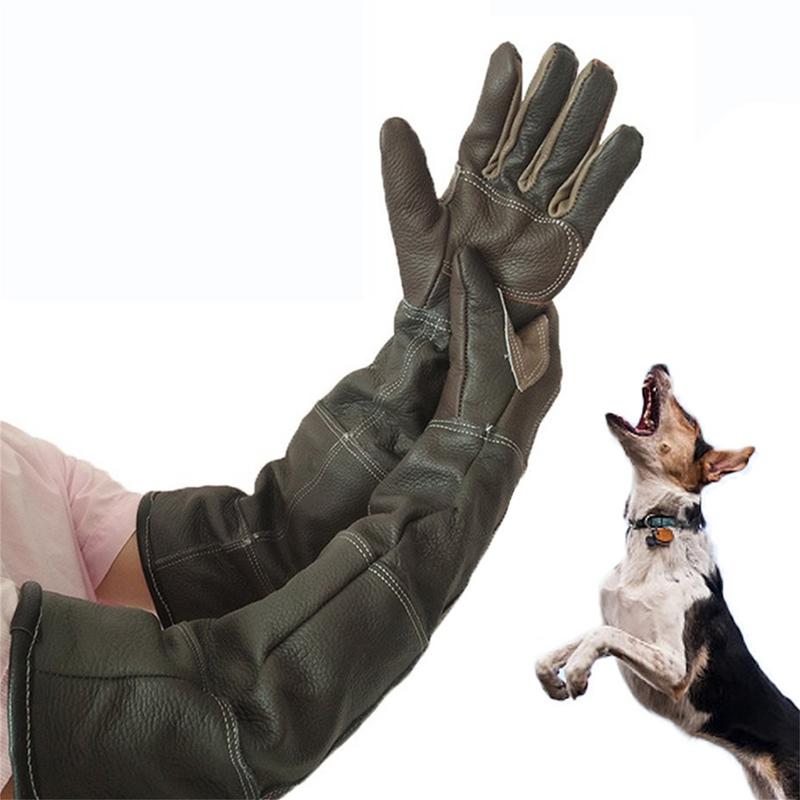 Pet Gloves Cowhide Leather Ant - Gardening Tools Gloves recension och pris