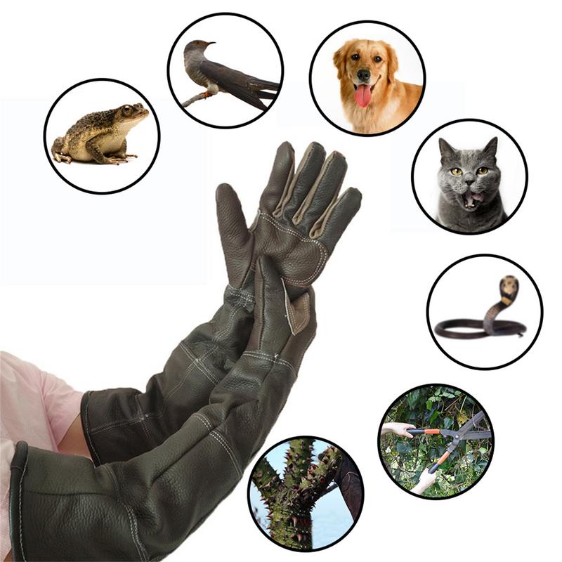 Pet Gloves Cowhide Leather Ant - Gardening Tools Gloves recension och pris