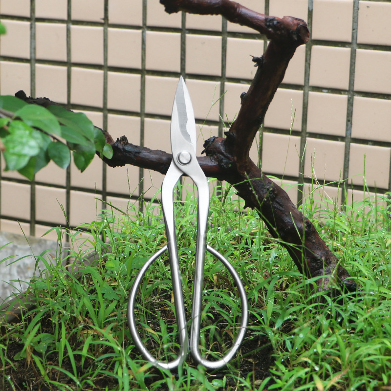All-steel garden shears, folia - Bonsai Tool Set recension och pris