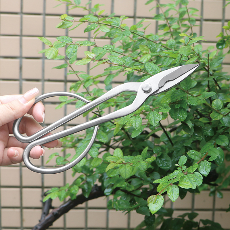 All-steel garden shears, folia - Bonsai Tool Set recension och pris