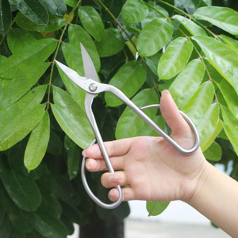 All-steel garden shears, folia - Bonsai Tool Set recension och pris