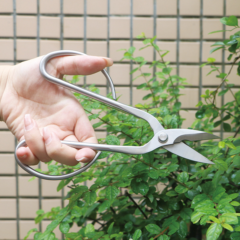 All-steel garden shears, folia - Bonsai Tool Set recension och pris