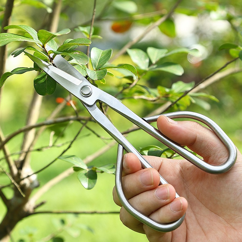 Tender Leaf Scissors Bonsai To - Bonsai Tool Set recension och pris