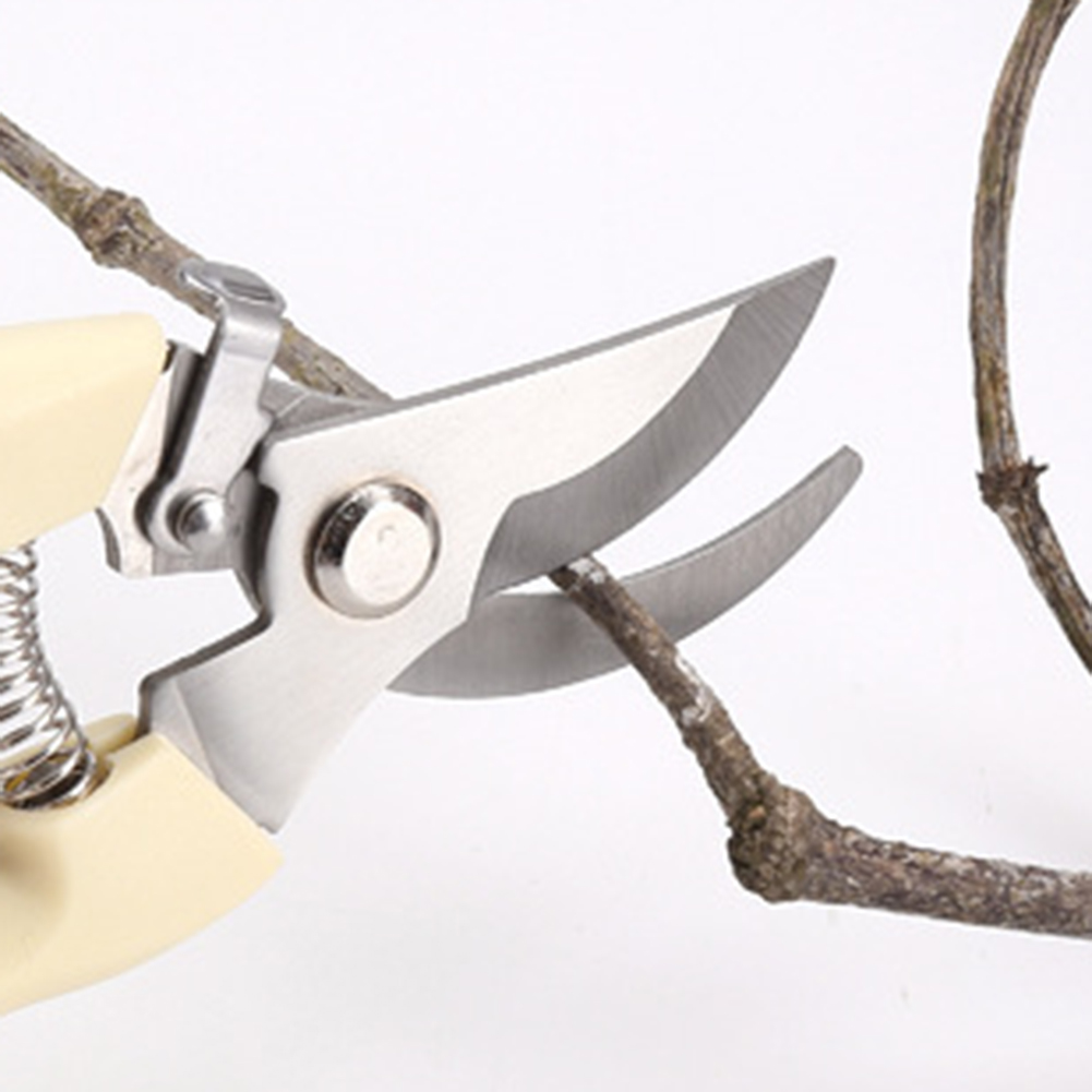 Pruner Shears Hand Tools Bonsa - Bonsai Tool Set recension och pris