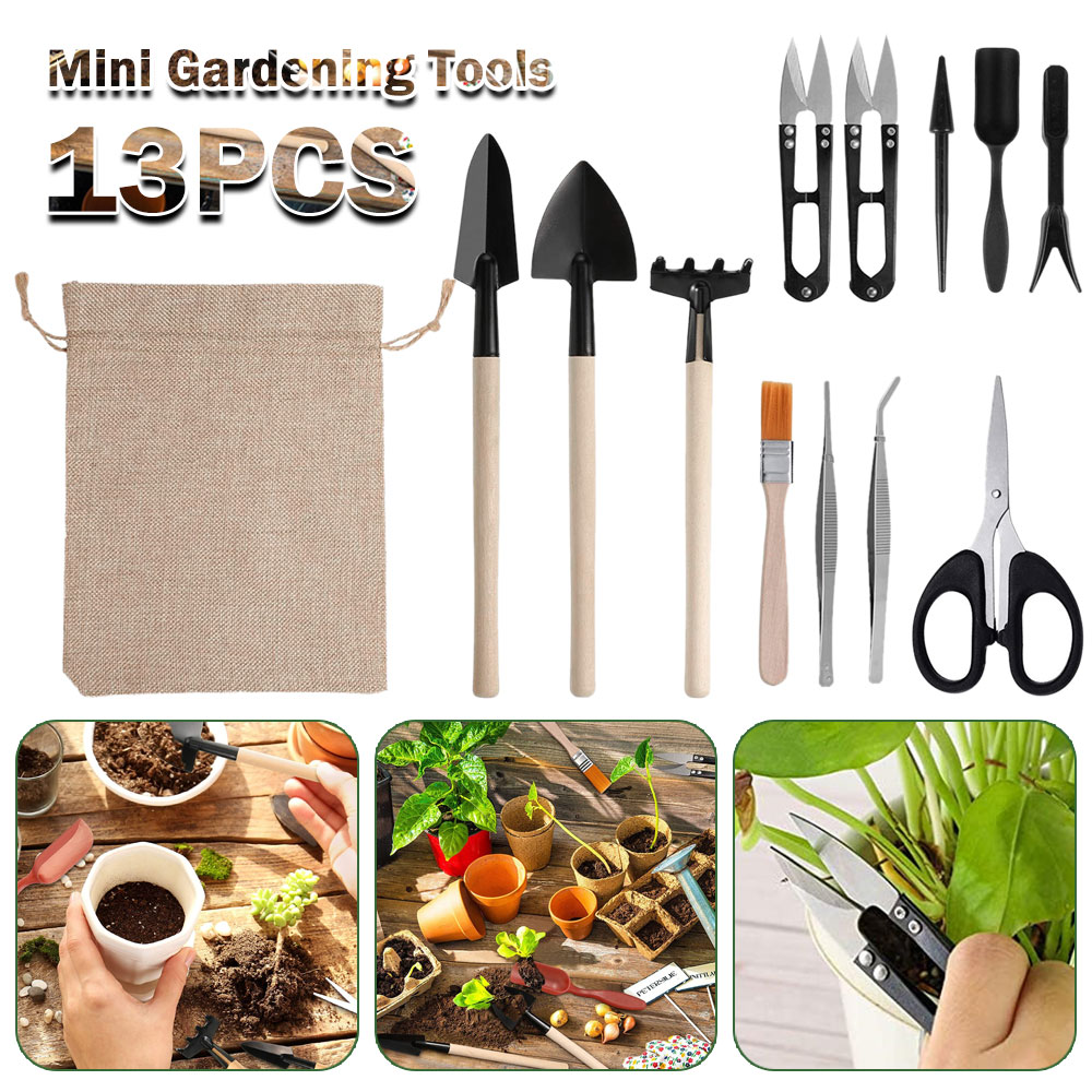 Succulent Plants Tools Mini Ga - Bonsai Tool Set recension och pris