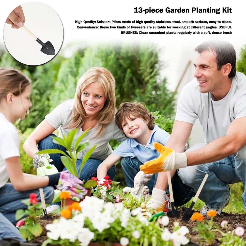 Succulent Plants Tools Mini Ga - Bonsai Tool Set recension och pris