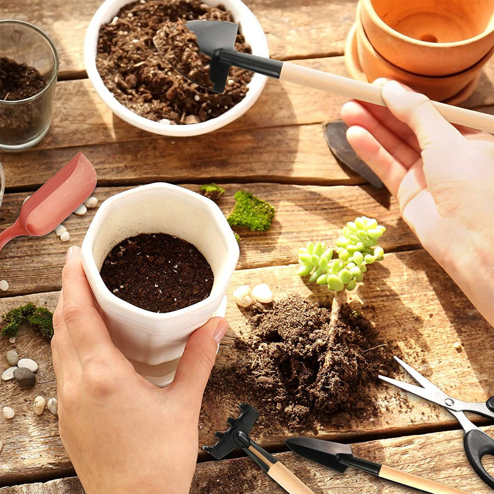 Succulent Plants Tools Mini Ga - Bonsai Tool Set recension och pris